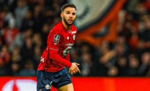 verdonk-lille
