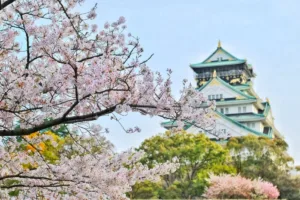 wisata-jepang-pexels-bagus-pangestu-1440476.jpg