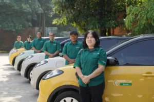 wuling-dan-grab.jpg