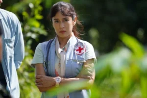 dian-sastro-descendants of the sun