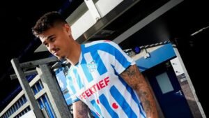 heerenveen mees hilgers