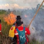 Gus Mus hingga Romo Magnis Desak Karhutla Jadi Bencana Nasional, 12,5 Juta Warga Terdampak