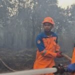 Karhutla Kalteng dan Sumsel Masih Berat, BNPB Ungkap Kondisi 4 Provinsi Lain