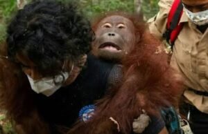 1792646893325
