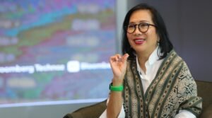 CEO Grab Indonesia, Neneng Goenardi