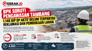 Gambar BPK Soroti Pengawasan Tambang
