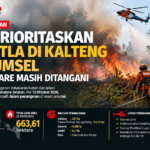 BNPB Fokus Padamkan Karhutla di Kalteng dan Sumsel, 663,61 Hektare Masih Ditangani