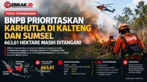 Gambar - Kebakaran Karhutla Kalteg dan Sumsel