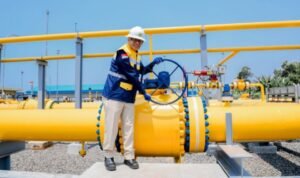 Piga gas - PGn - ESDM