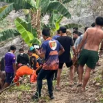 Niat Padamkan Api Berujung Tragis, Pria 60 Tahun Tewas Terkepung Karhutla di Samarinda